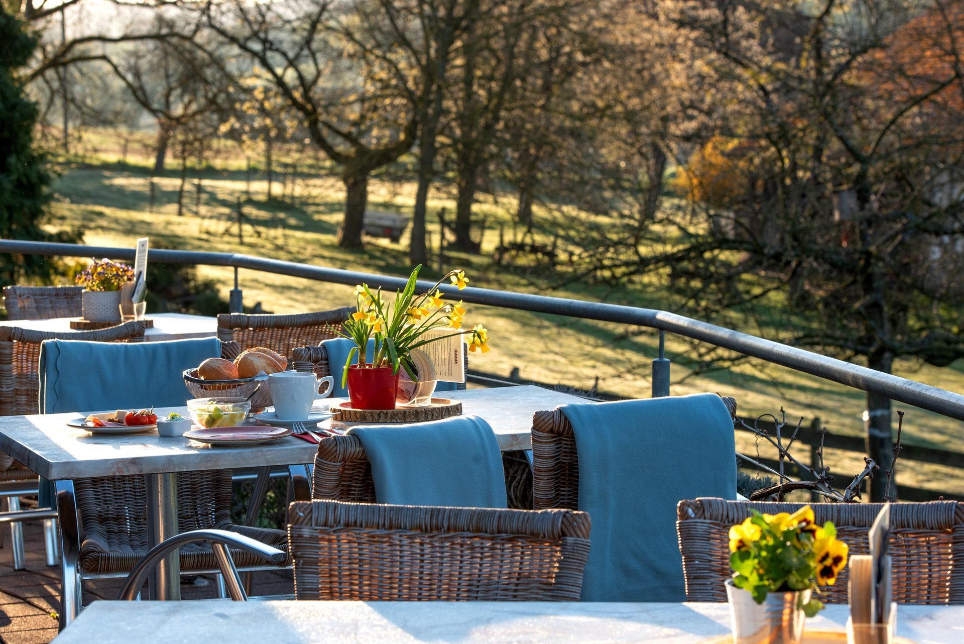 Gedeckter Frühstückstisch auf der Terrasse mit Blick in die Odenwälder Wiesen